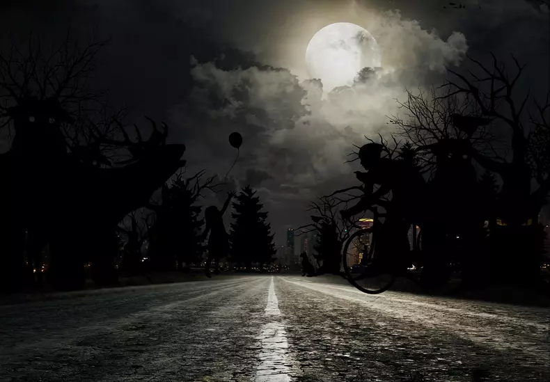 ford Pedestrian Detection