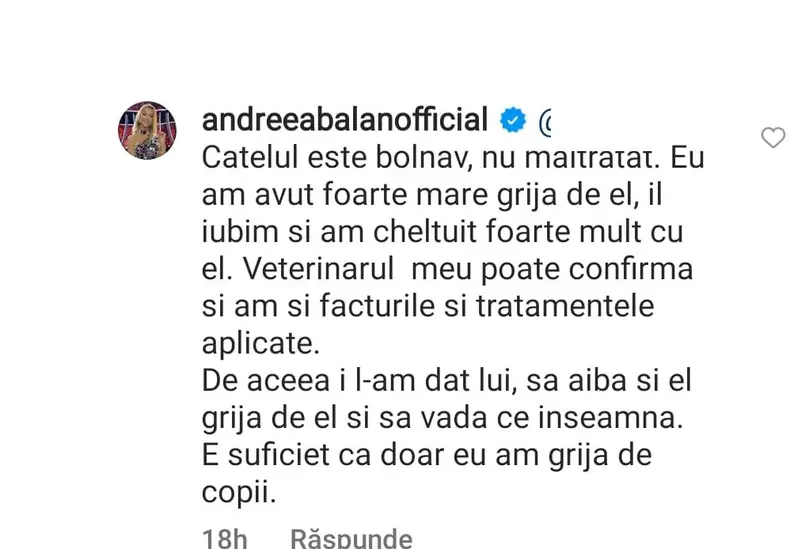 andreea-balan-2-2