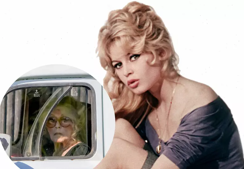 Brigitte-Bardot-la-90-de-ani-Viața,-Singurătatea-și-Omagiul-pentru-Alain-Delon