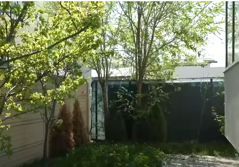 anca-dinicu-gradina