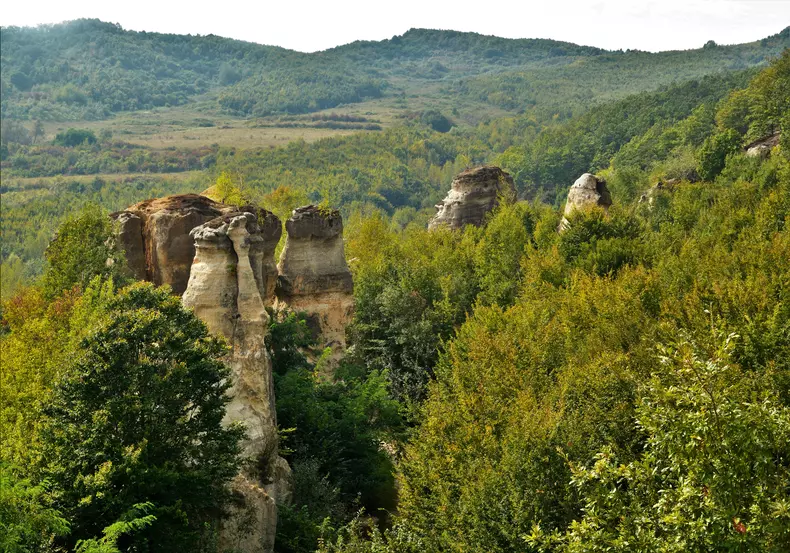 The,Dragon,Garden,-romania