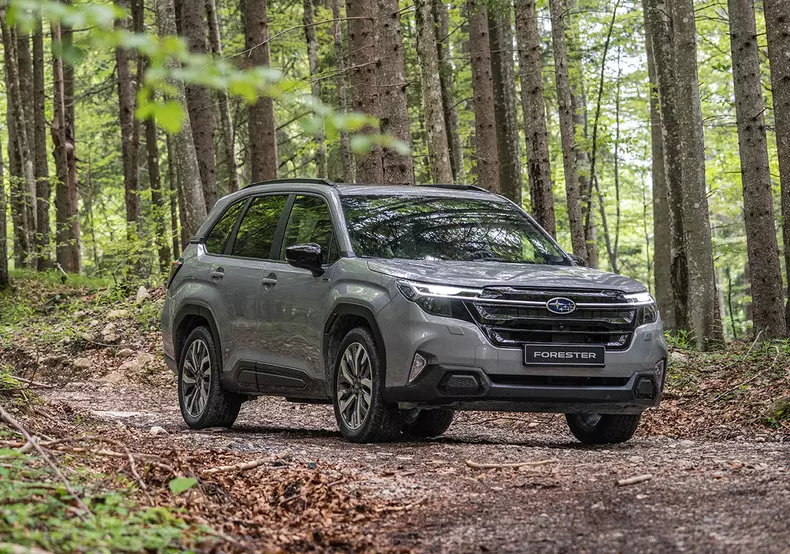 25MY Forester – Image 32