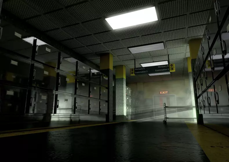 moldova-cadavre-morga