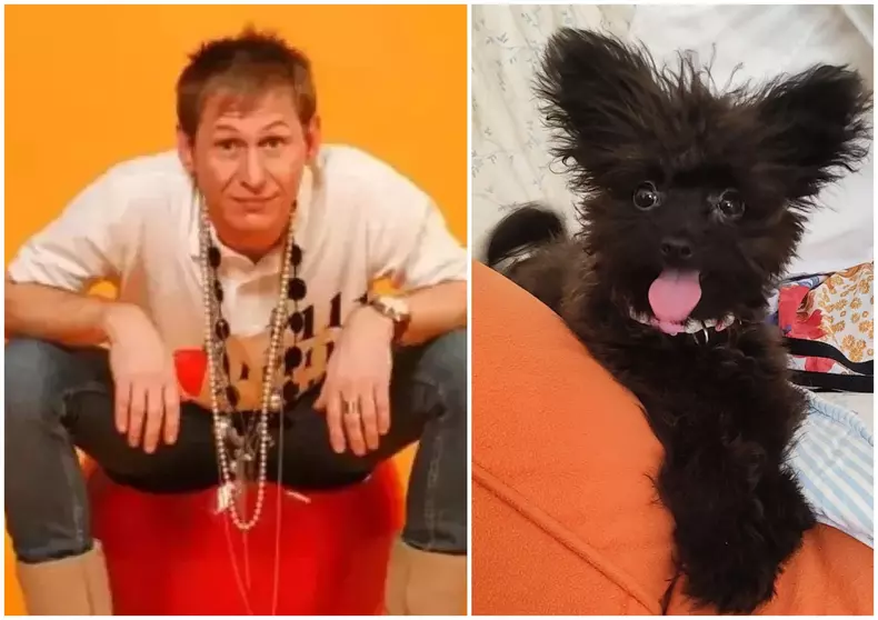 mircea solcanu si catelul