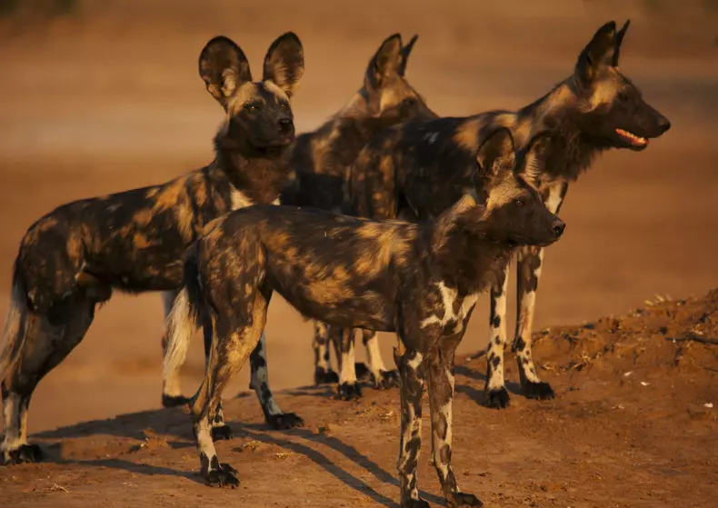 Dynasties_EP_04_004_Press_Pack