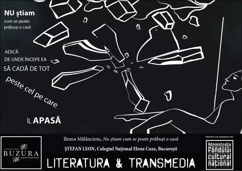 „Literatură & Transmedia'' - Proiect 3