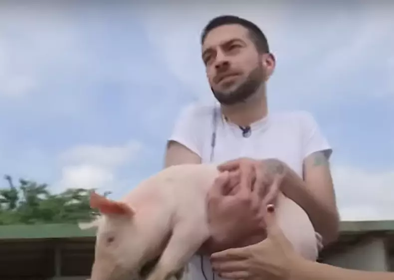 David Puscas la ferma 5