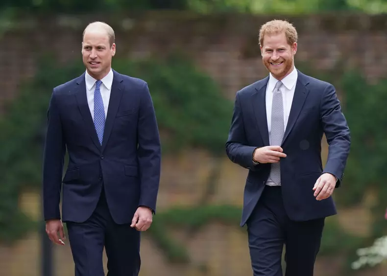 Prince William and Prince Harry at Diana statue unveiling