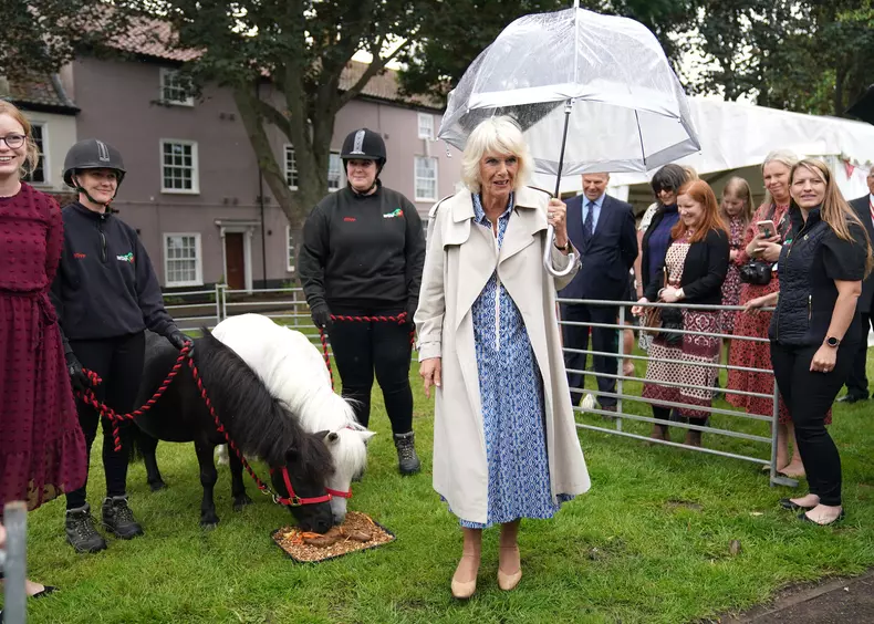 Regina Camilla a atras toate privirile la un eveniment. A înfruntat vremea capricioasă și a uimit cu ținuta ei