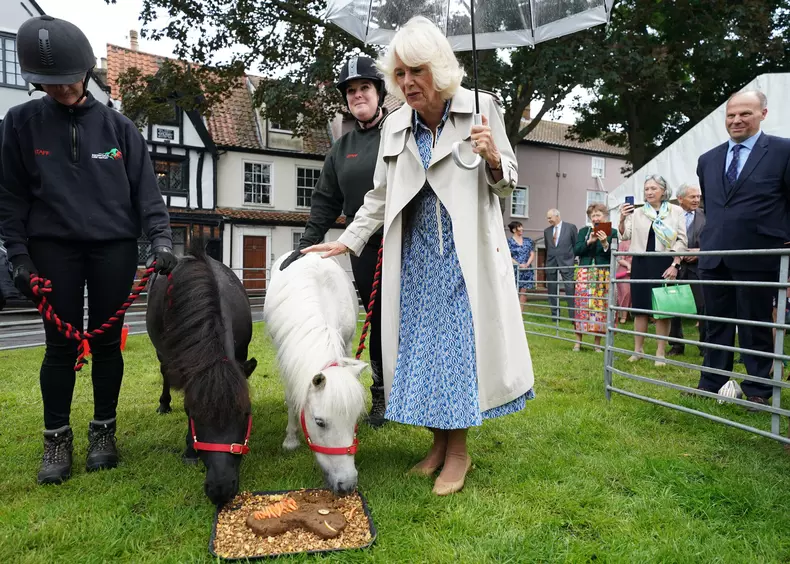 Regina Camilla a atras toate privirile la un eveniment. A înfruntat vremea capricioasă și a uimit cu ținuta ei