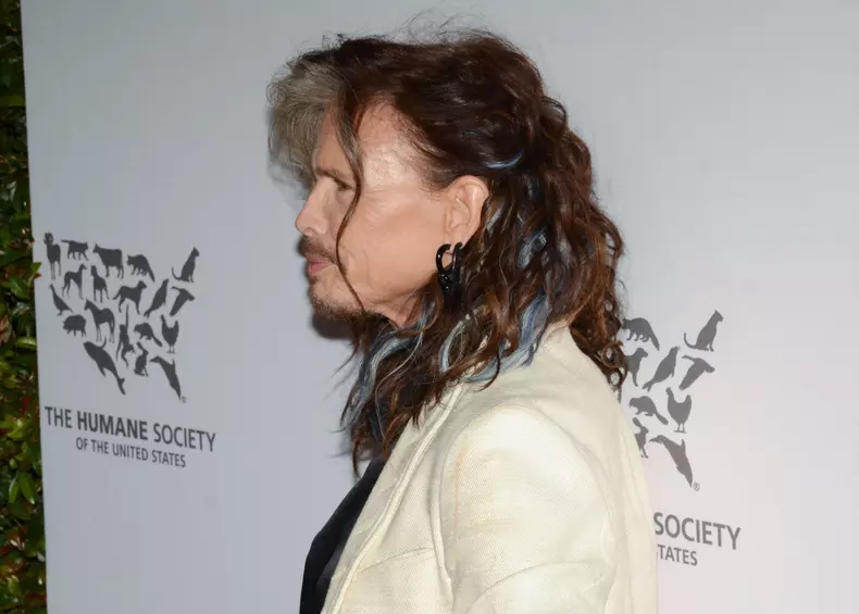 Steven Tyler s-a internat singur la dezintoxicare, după o recidivă