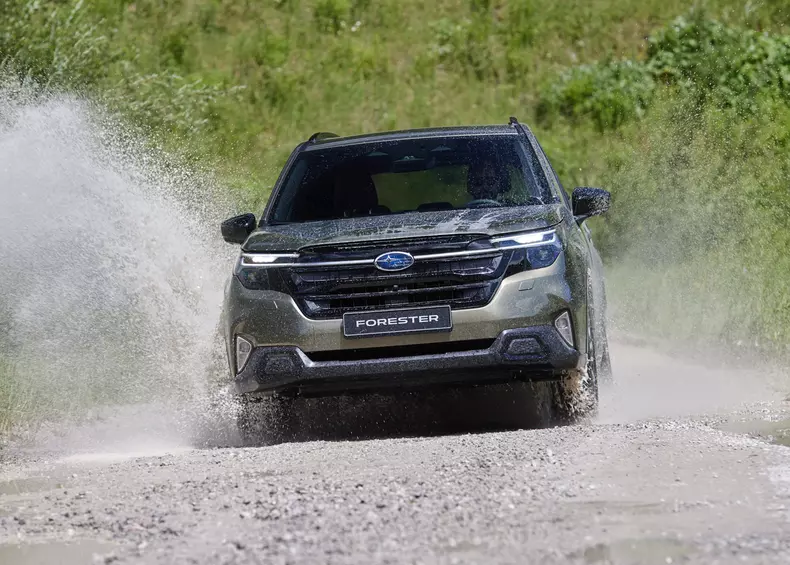 25MY Forester – Image 1