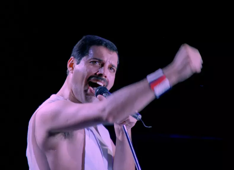 Freddie Mercury9