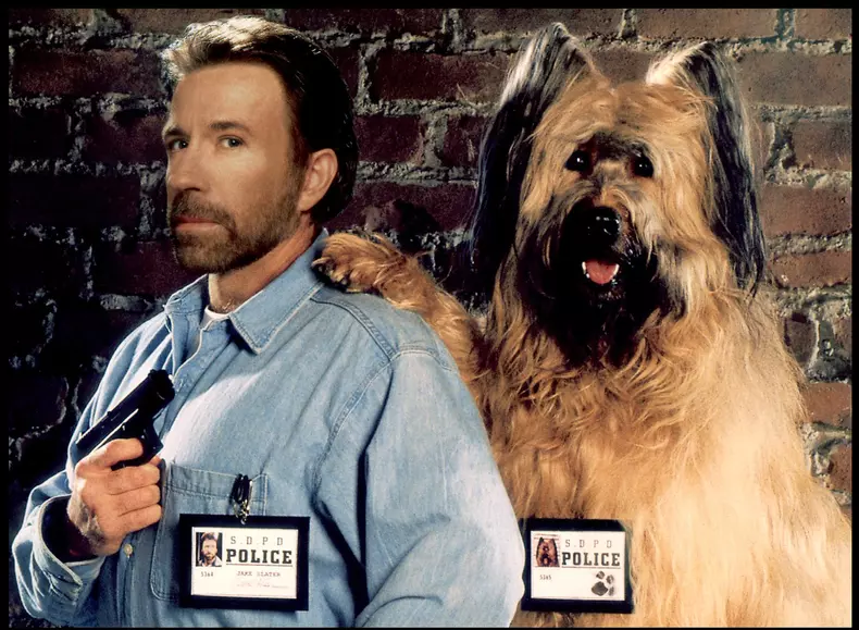 Chuck Norris