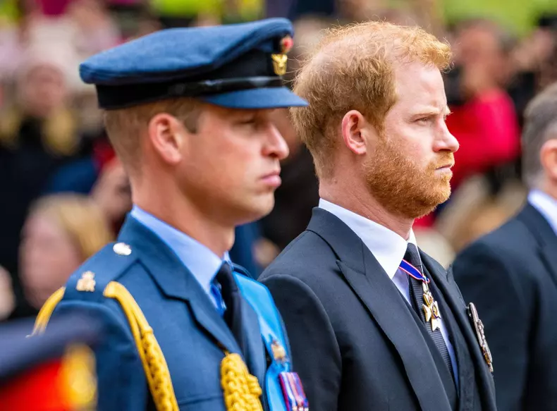 Harry si William