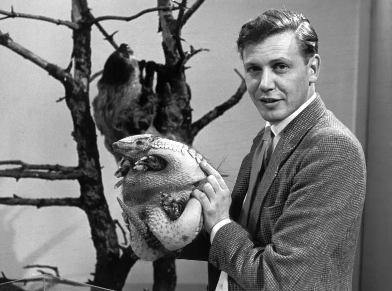 Attenborough at 90