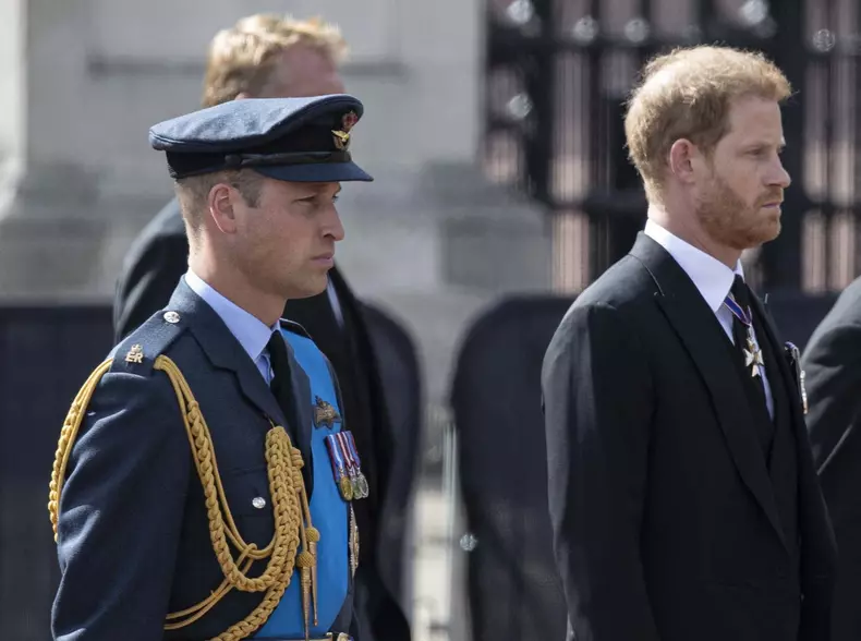 Prințul Harry, noi acuzații incredibile la adresa prințului William
