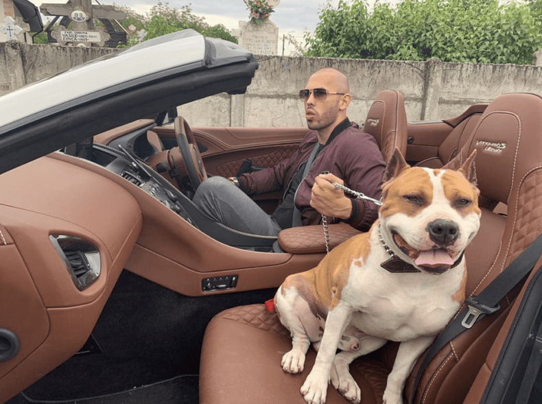 Screenshot-2021-04-06-at-22.07.16-1024x764-1