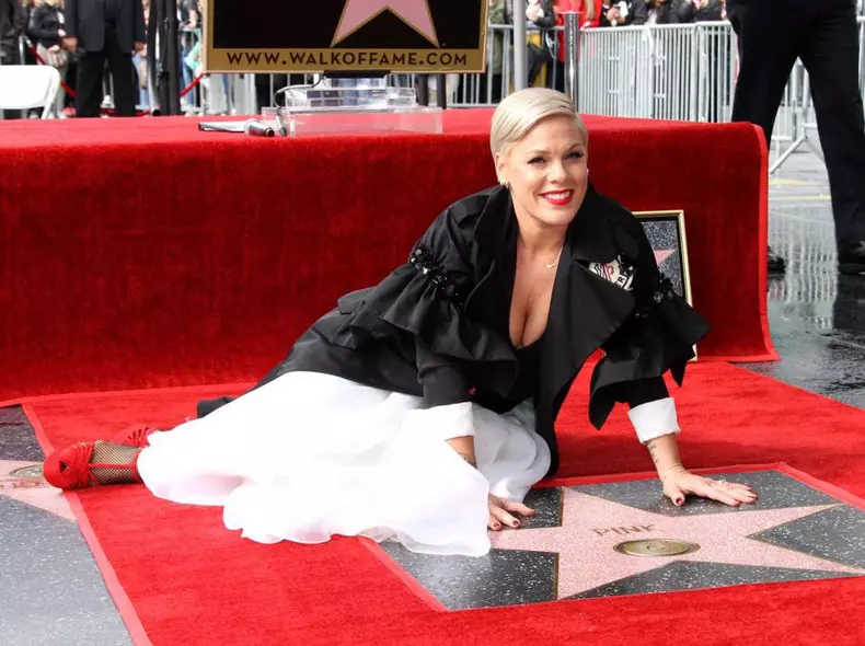 Pink, dezvăluiri fără perdea despre Madonna și primii ani în showbiz 4