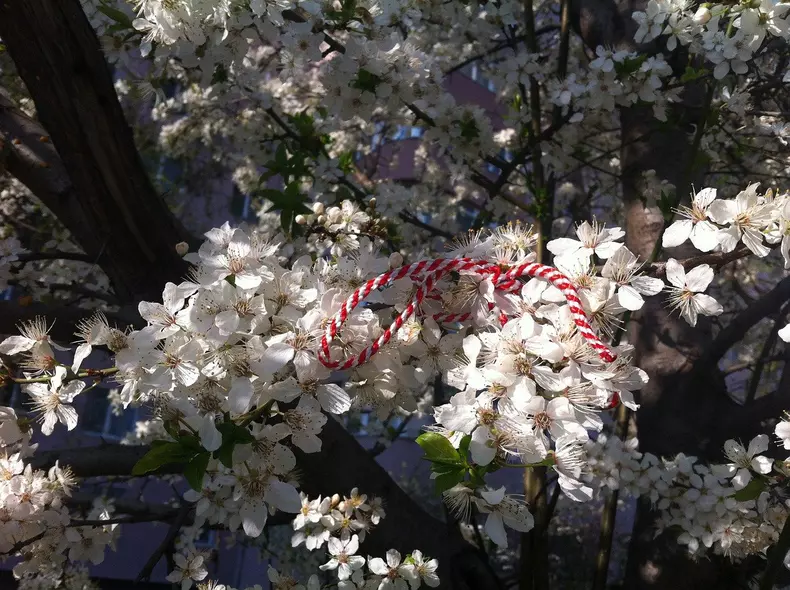 martisor-674864_1280