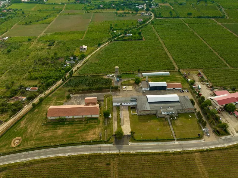 ROventura, 29 iulie 2023. Vrancea, „țara viei și-a vinului”