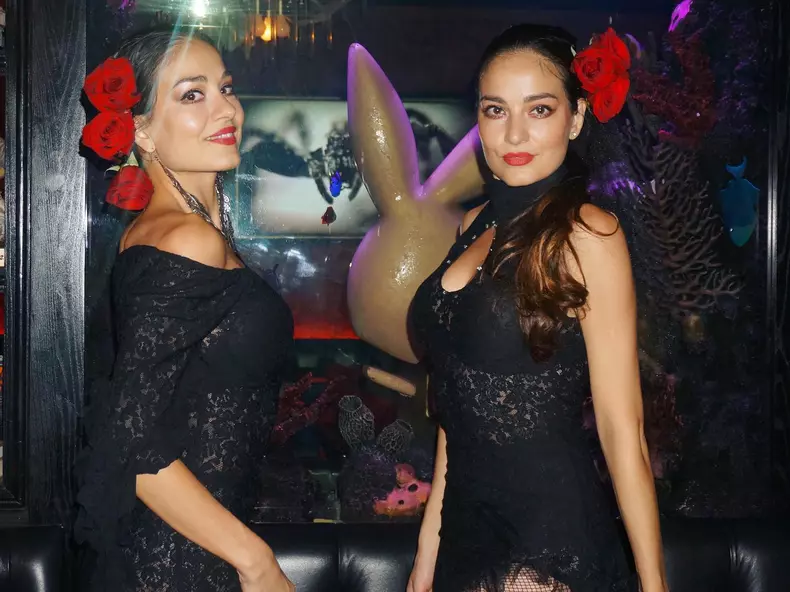 Gemenele-de-la-Indiggo-8