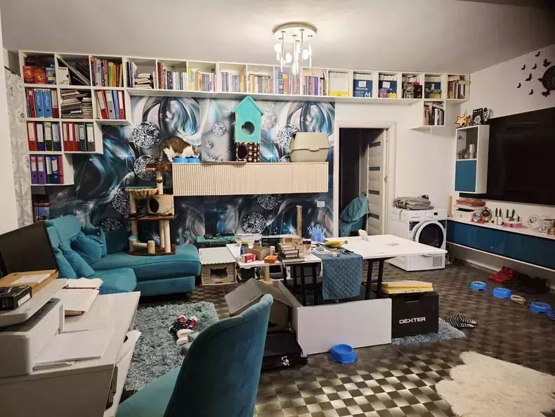 imagini-casa-mihai-traistariu-13