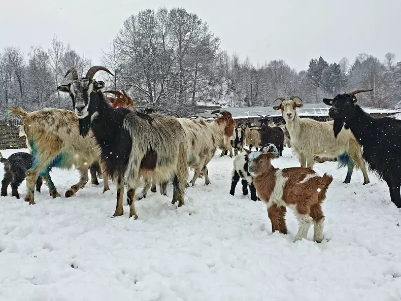 Echipa ROventura ajunge la Cerna, un loc de poveste și de povestit (10)