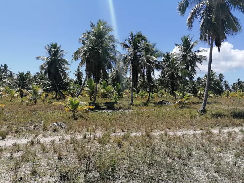 Cum se vede competiția direct de pe platourile de filmare ale „Survivor România”