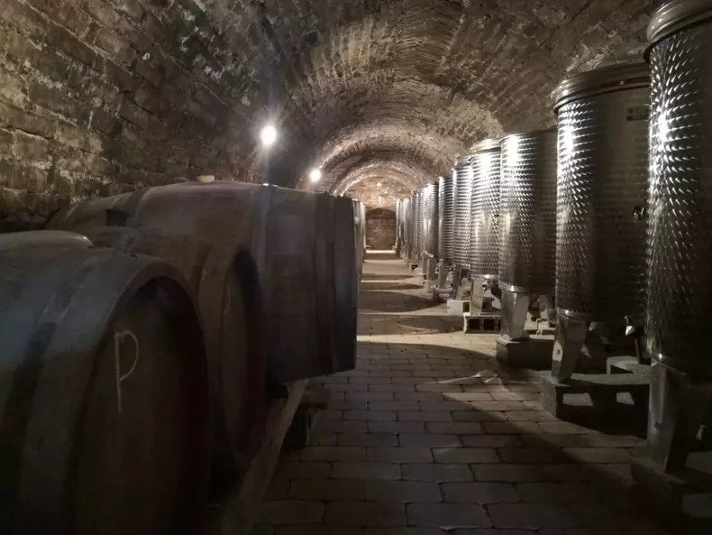 „Frati-de-vita-revine-cu-un-nou-sezon-la-TVR-2-3