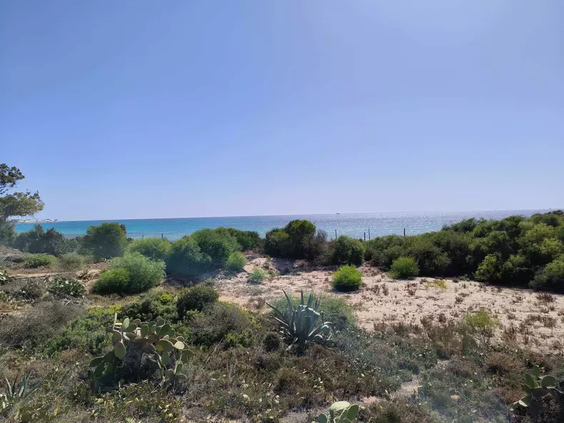 vila-aristocratului-roman-george-sebastian-din-tunisia-6