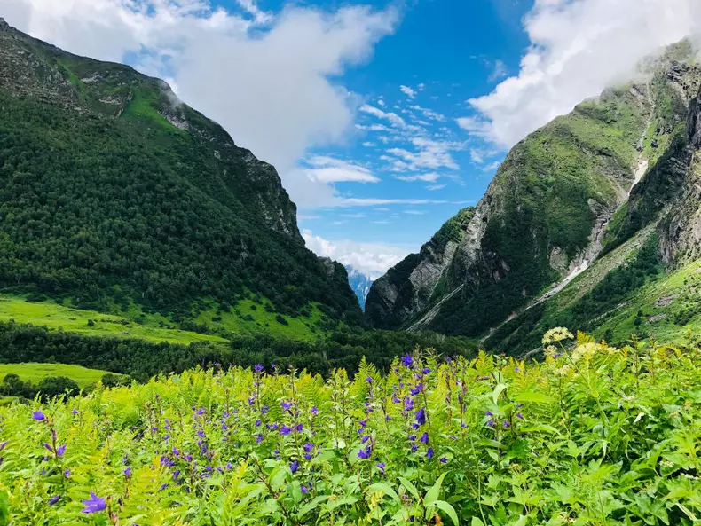 Valley of Flowers National Park, India