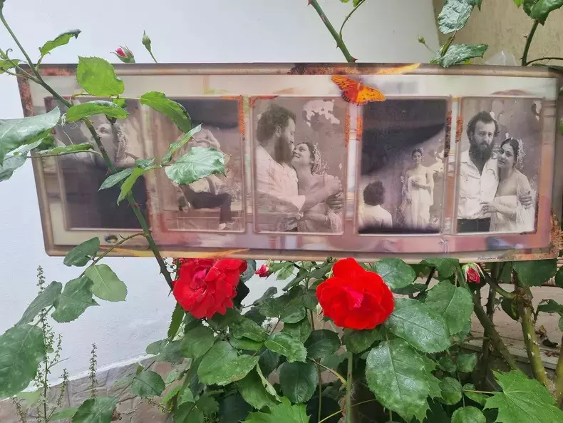 maia-morgenstern-implineste-62-de-ani-8