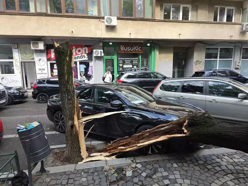 opaci rupti