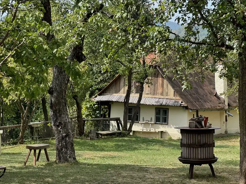 casa din maramures a laurei cosoi