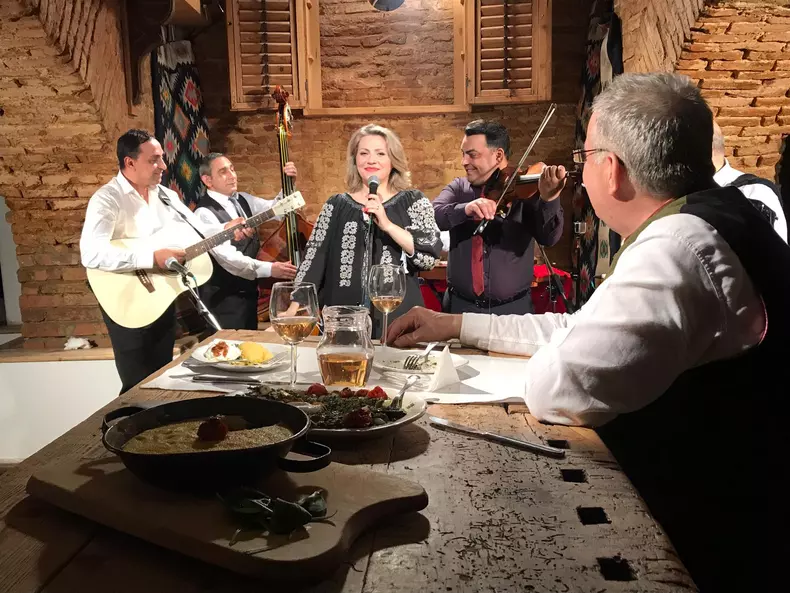 Mirela Vaida, la Politica si delicateturi5