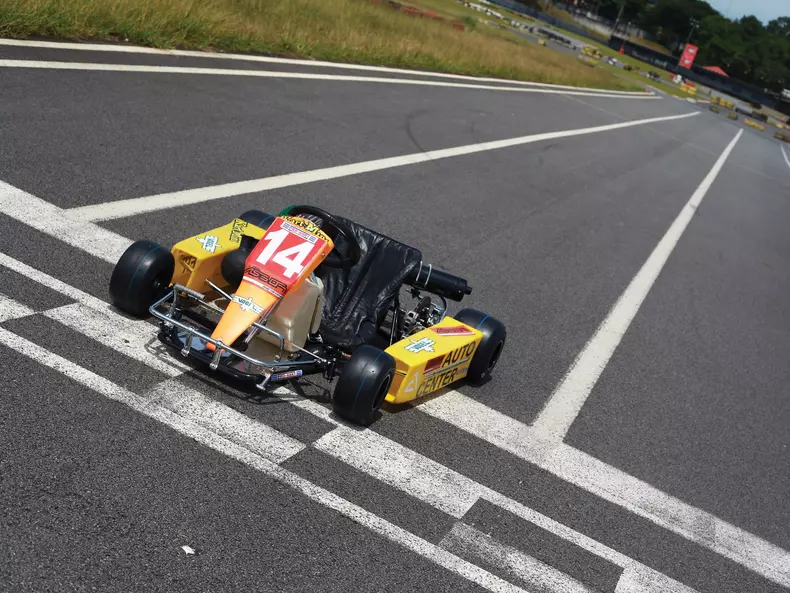 kart ayrton senna finish