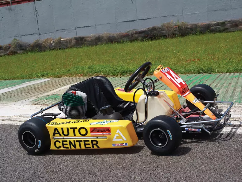 kart ayrton senna profil dreapta