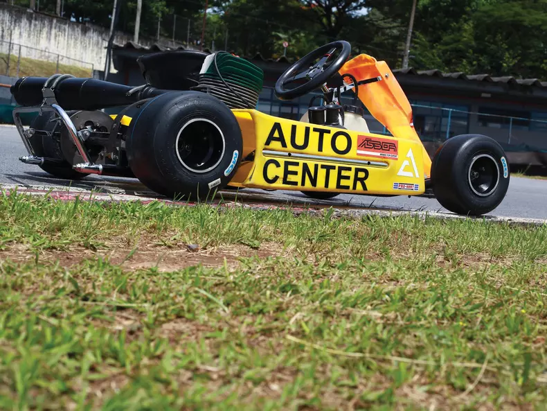 kart ayrton senna profil