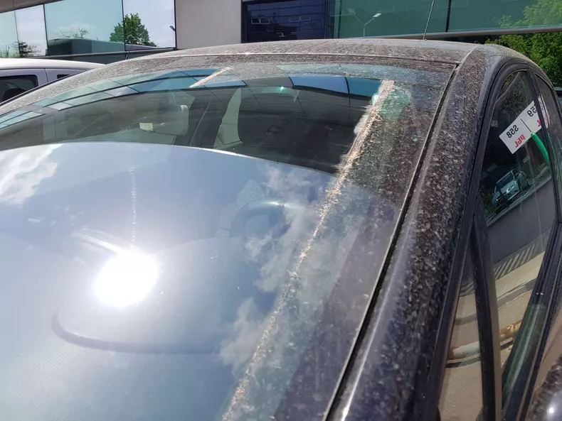 ploaie nisip Sahara 004