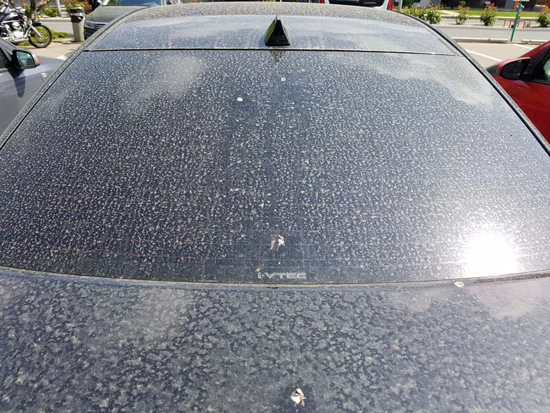 ploaie nisip Sahara 005