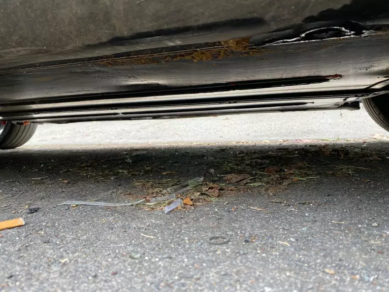 Tesla Model 3 dauna 12