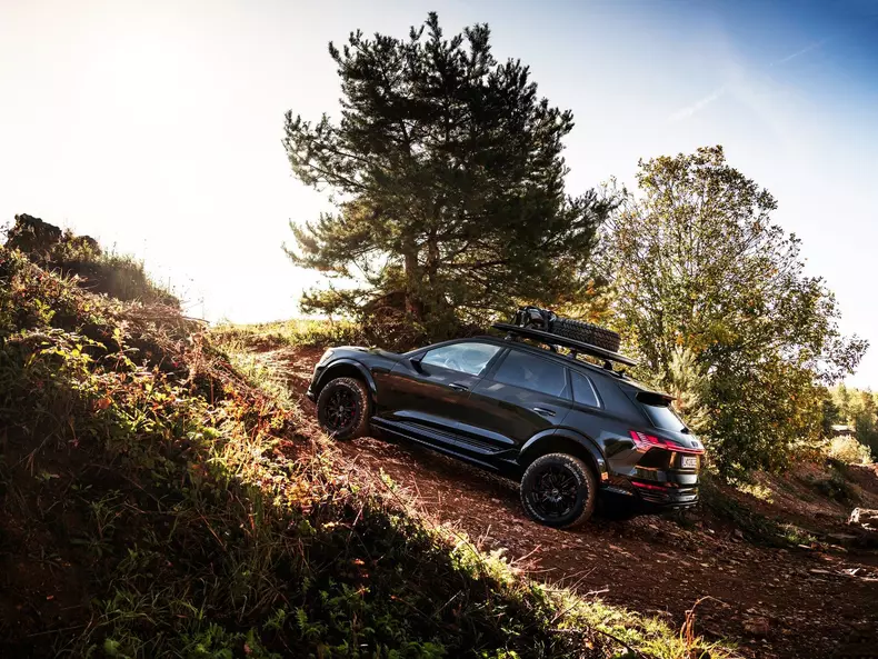 Audi-Q8_e-tron_Dakar_Edition-2024-1600-18