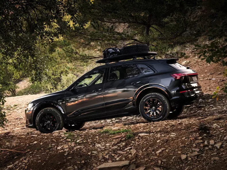 Audi-Q8_e-tron_Dakar_Edition-2024-1600-19