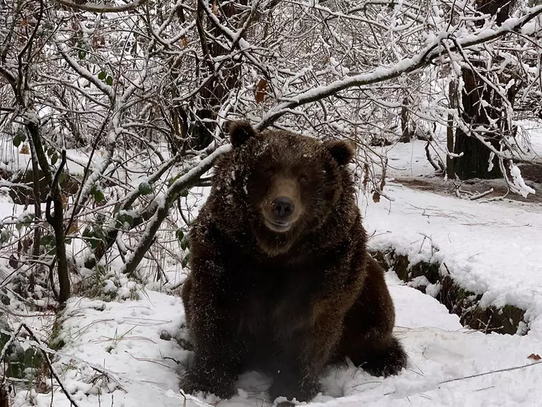 O rezervație naturală pentru animale sălbatice îți propune să te răzbuni pe foștii iubiți într-o manieră inedită (3)