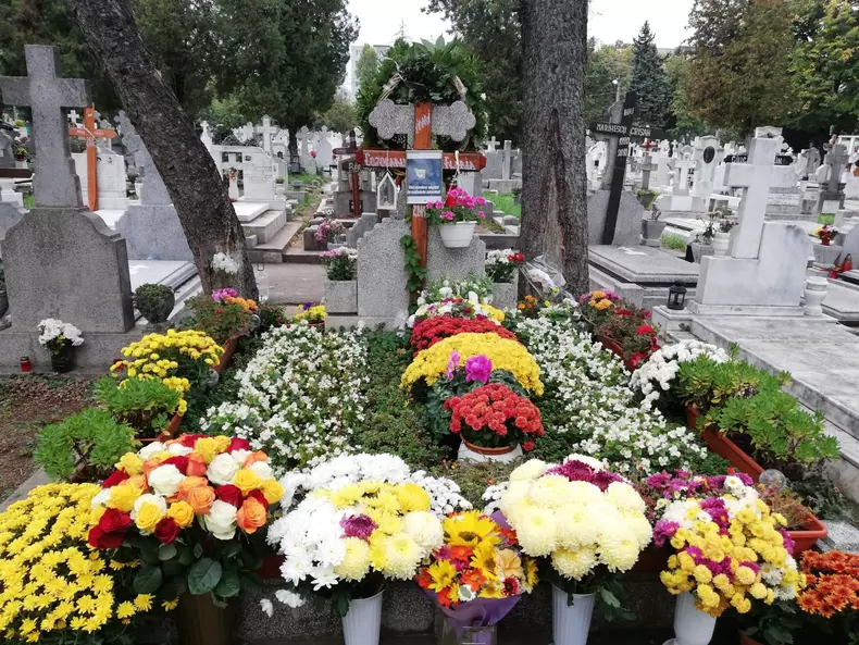 Mihai-Constantinescu-8