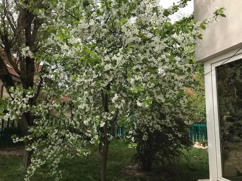 4casa-lui-Florin-Calinescu