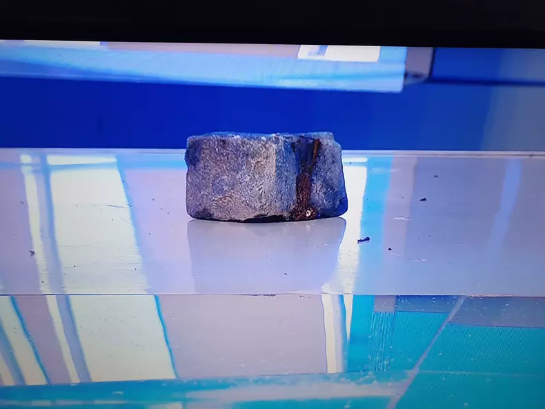 162497404_435544634187995_2747419613998251667_n