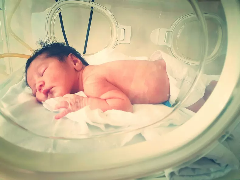 208359419_1686602471549086_7047241067183828516_n