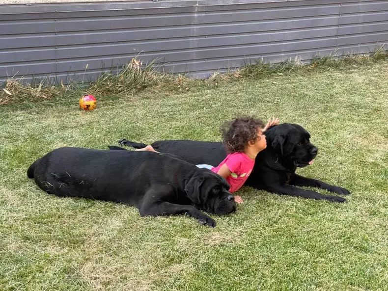 namiko-fiica-lui-cabral-langa-cainii-familiei